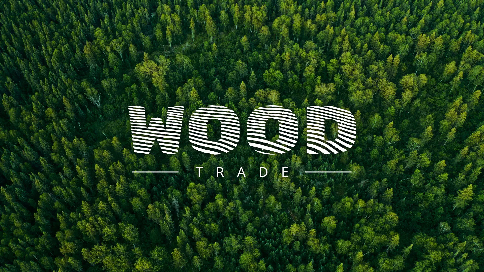 Разработка интернет-магазина компании «Wood Trade» в Пудоже